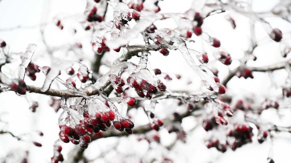 Nočné teploty padajú pod nulu, SHMÚ varuje pred ďalším ochladením