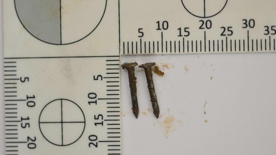 Policajti v Nových Zámkoch zadržali muža, ktorý na ulici rozhadzoval smrteľné návnady pre psov