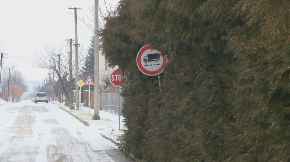 Starosta nechal odpíliť konáre stromov, ich majiteľ to považuje za barbarstvo