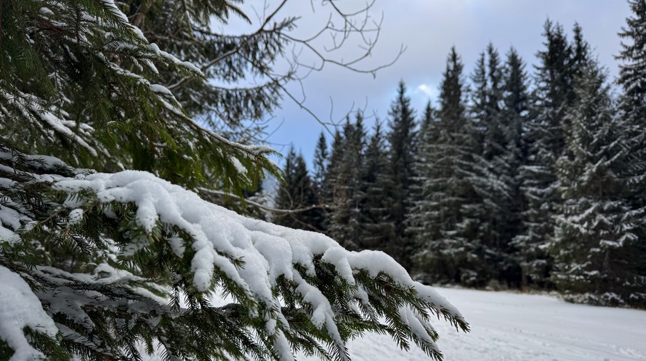SHMÚ upozornil na snehové jazyky a záveje na západe Slovenska