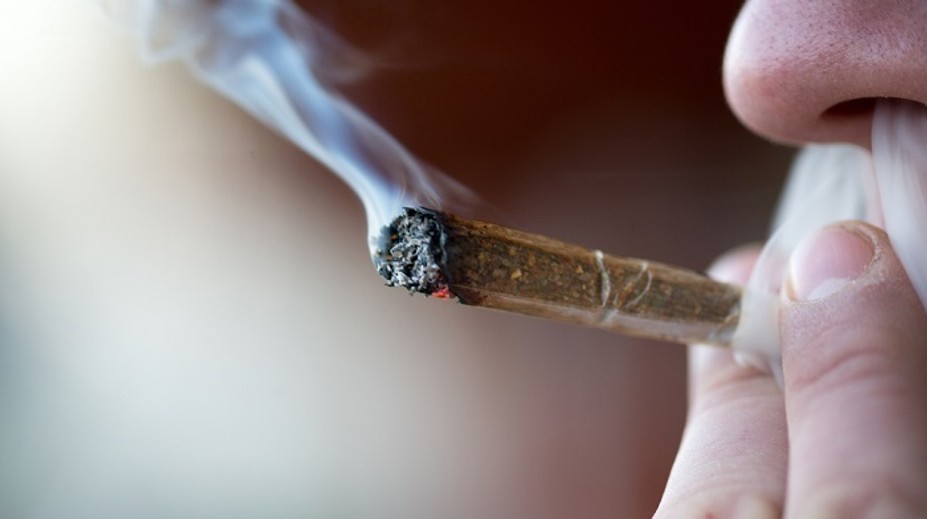 Nemecká vláda schválila legalizáciu marihuany na liečebné účely