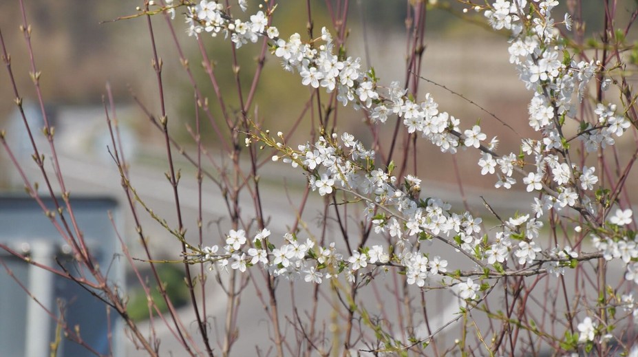 Vieme, aké bude počasie na Veľkú noc. Teploty ako na hojdačke, v tieto dni nás čaká 25 °C