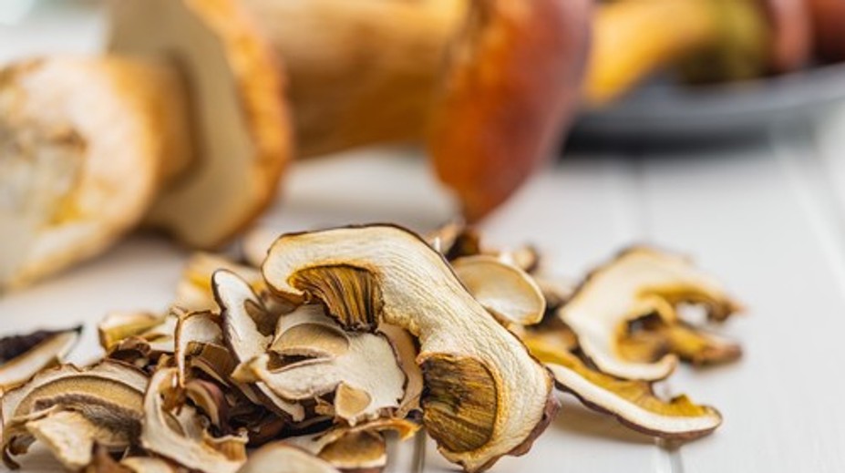 Nie všetky huby sa dajú sušiť. Niektoré strácajú chuť, iné môžu byť nebezpečné