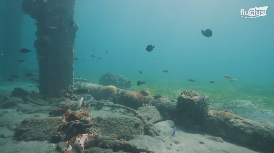 Náhoda alebo sabotáž? Pretrhnuté káble v Baltskom mori môžu mať vplyv aj na Slovákov