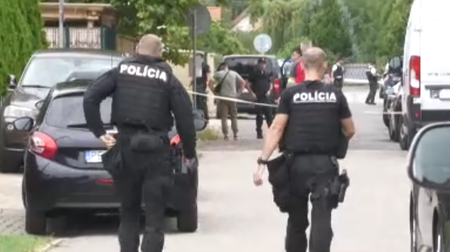 Mal zastreliť tehotnú ženu v Partizánskom. Obžalovaný sa na súde priznal