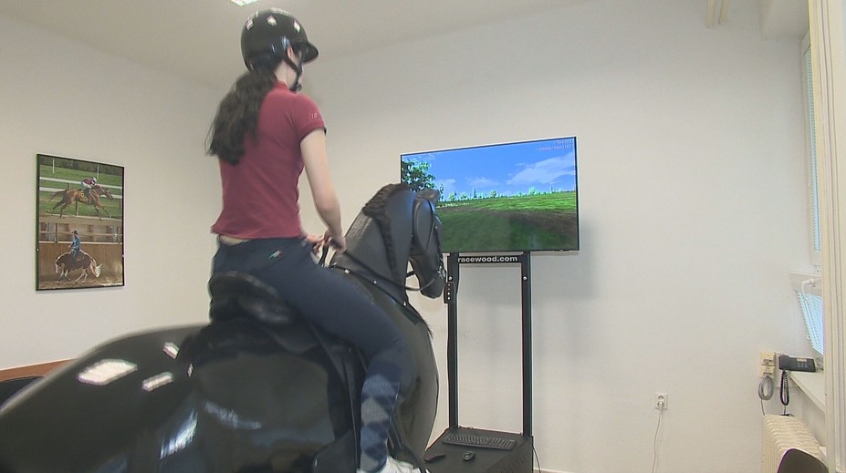 Jazda na koni bez rizika pádu. Na univerzite v Nitre majú unikátny jazdecký trenažér