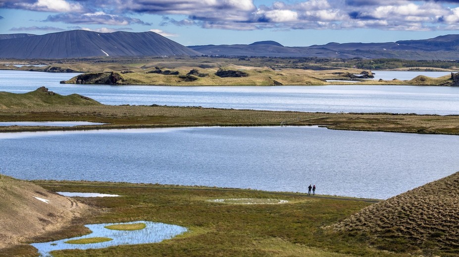 Na Islande sú v šoku. Na ostrove sa objavil hmyz, ktorý tam nikdy nevideli