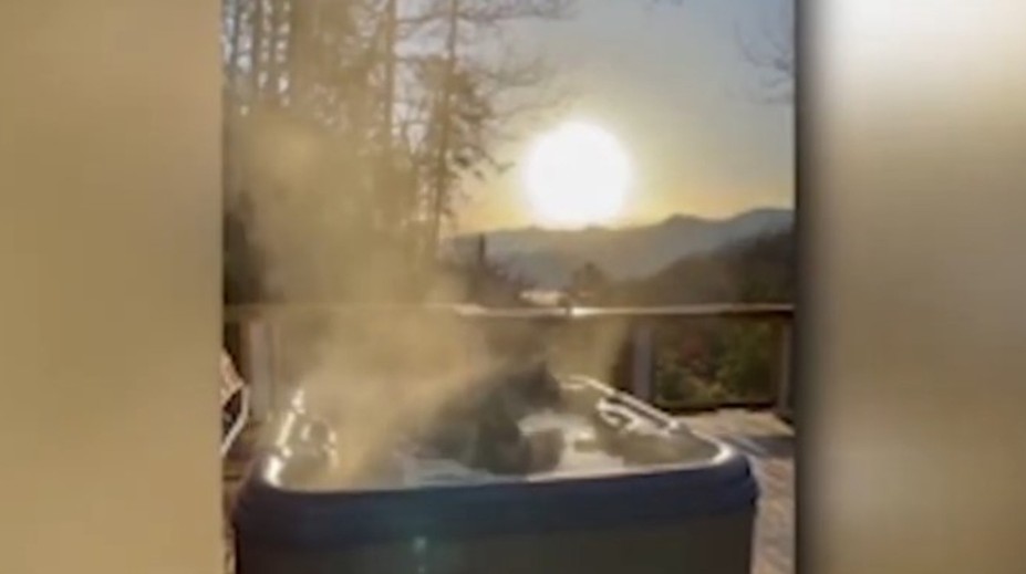 Muža na chate prekvapil medveď vo vírivke. Pozrite si, ako si užíval kúpeľ