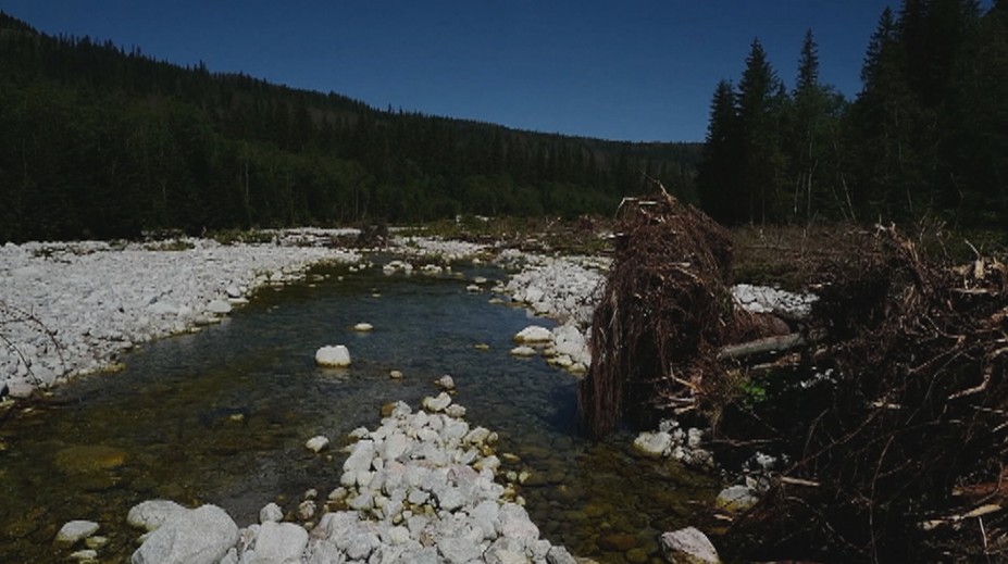 Rieka v strede štátnej hranice rozdeľuje po záplavách našich a poľských ochranárov