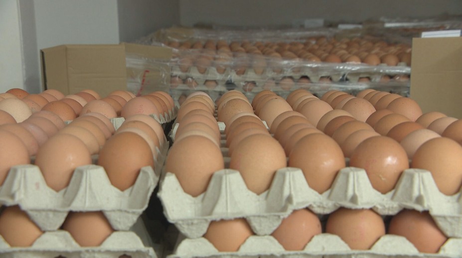 Niektoré reťazce menia predaj vajec. Od januára to zdraží nákupy