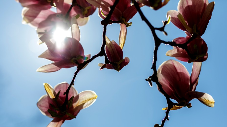 Počasie sa mení zo dňa na deň. Slovensko čaká dážď, sneh aj takmer letné teploty