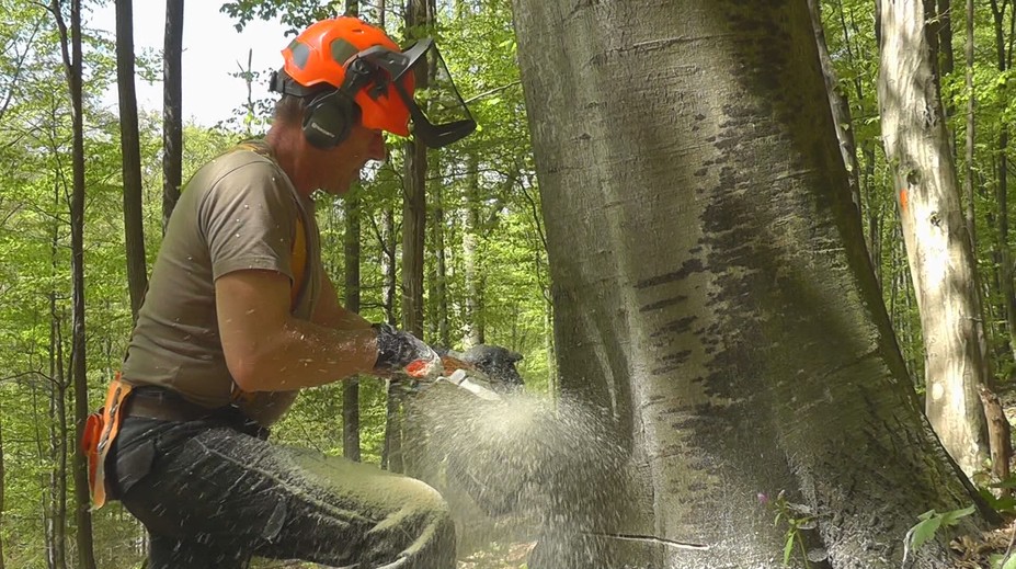 Jeden z najväčších štátnych zamestnávateľov bude hromadne prepúšťať. O prácu prídu stovky zamestnancov