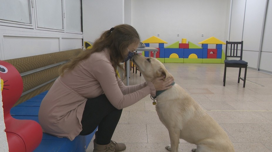 Linda trpí vzácnou fóbiou. Aj keď spĺňa kritériá, štát jej asistenčného psa nepreplatí