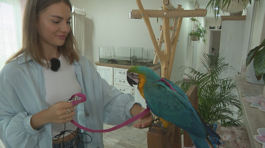 Mirka z Ruže má doma celý zverinec: Neuveríte, aké zvieratko si zaobstarala najnovšie