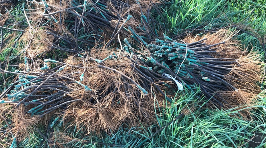 Neprešlo ani 24 hodín a lup z krádeže, ktorá nemá obdobu, sa našiel