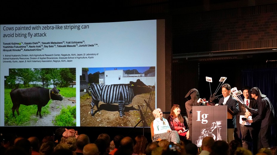 Môže alkohol zlepšiť našu schopnosť hovoriť cudzím jazykom? V USA odovzdali antinobelove ceny za absurdné výskumy