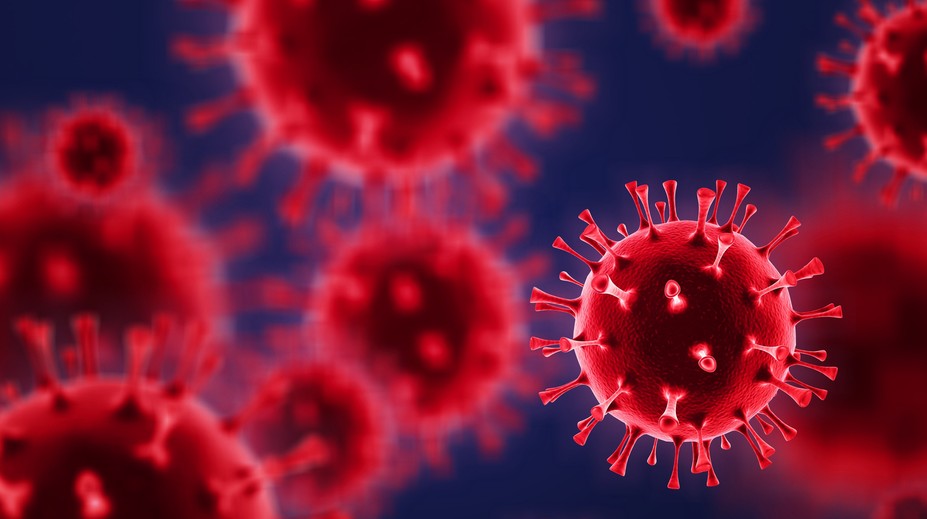 V Juhoafrickej republike objavili nový druh koronavírusu, zrejme najsmrteľnejší. WHO reaguje