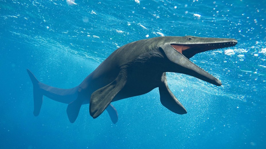 Šesťmetrové monštrum z praveku. Vedci opísali nového predátora