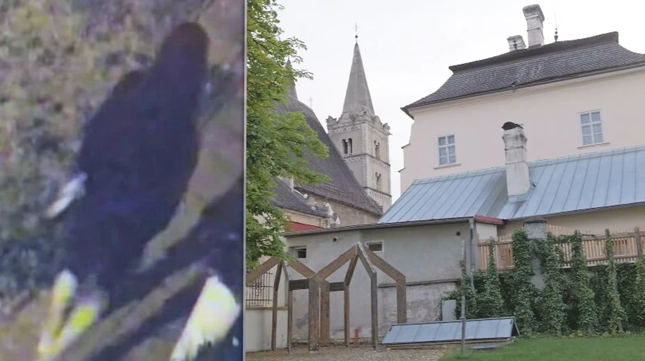 Nič mu nebolo sväté. Zlodej raboval u biskupa, zanechal po sebe usvedčujúci dôkaz