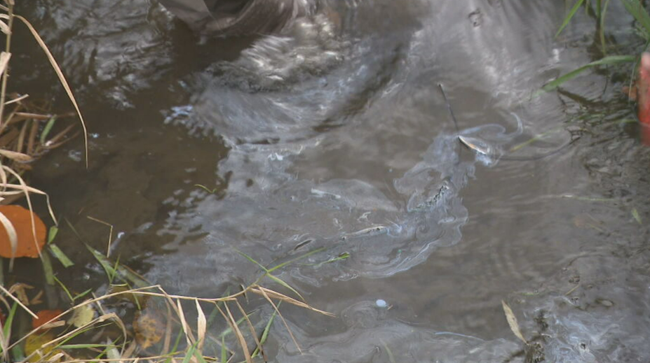 Okolie Zvolena trápia odporný zápach a ropné škvrny na povrchu riek. Riešenie je v nedohľadne