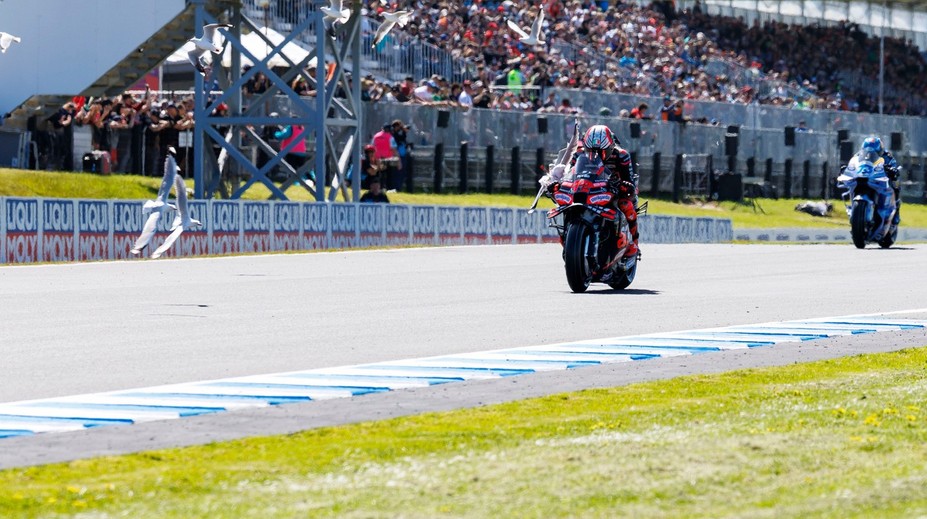 VIDEO: Austrálska divočina sa opäť nezaprela. Na Moto GP sa víťaz šprintu zrazil s votrelcom na trase