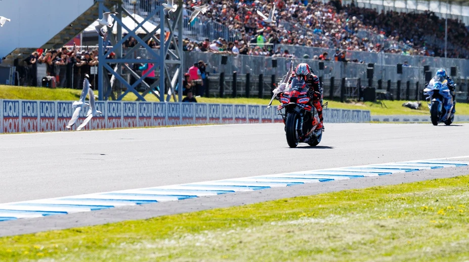 VIDEO: Austrálska divočina sa opäť nezaprela. Na Moto GP sa víťaz šprintu zrazil s votrelcom na trase