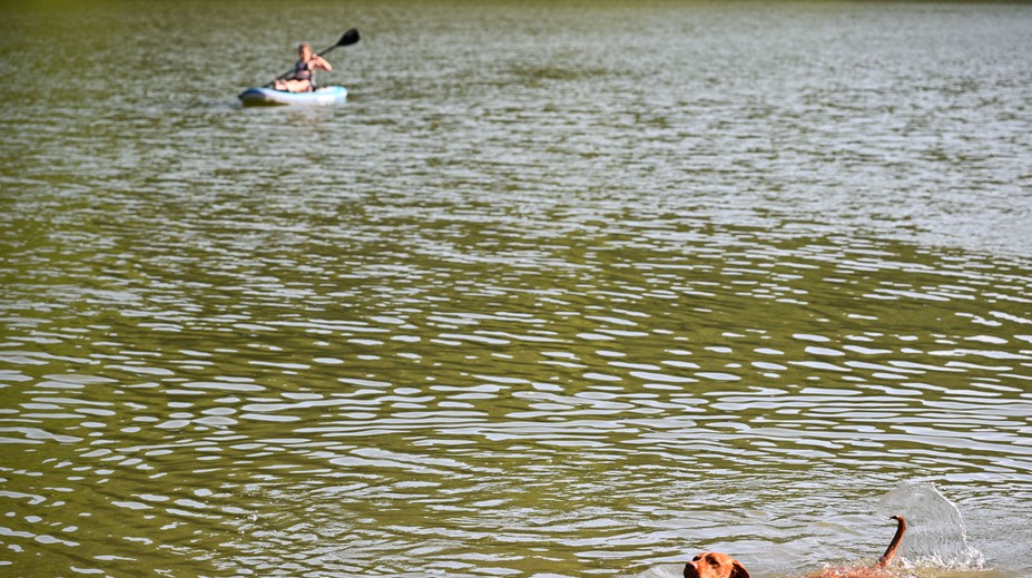 Skrytá hrozba v rekreačnej oblasti na západe Slovenska. Vo vodnej nádrži potvrdili výskyt nebezpečného parazita