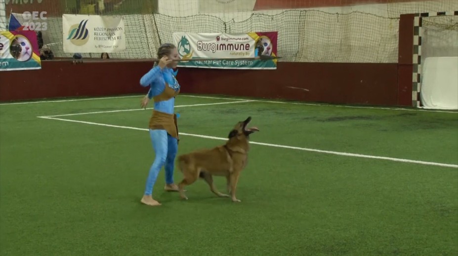 Zlaté talenty so Zlaticou: Slovensko patrí v dogdancingu k svetovej špičke