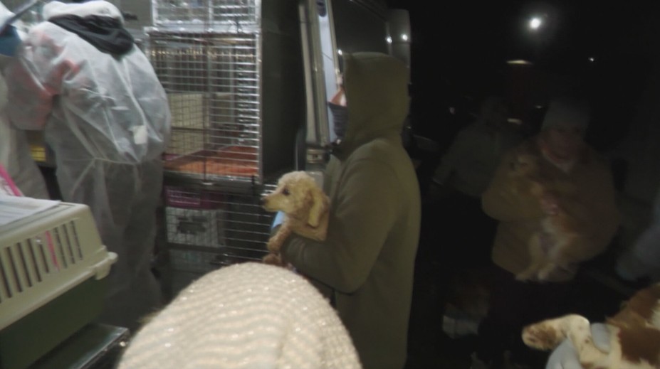 Veľká razia veterinárov v psej fabrike. Odobrali takmer ďalších 300 psov