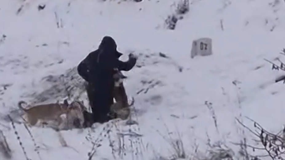 Psy hrýzli a trhali zo všetkých strán. Kynológ pomenoval moment, kedy napadnutý muž prišiel o možnosť na útek