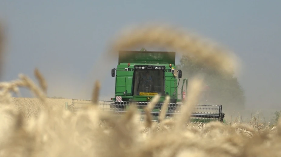 Farmári museli siahnuť po zásobách na zimu. Poľnohospodári sa s prosbou sa obracajú na Európsku komisiu