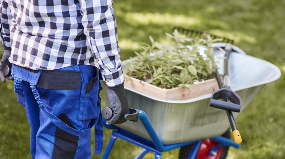 Apríl v záhrade: Päť vecí, ktoré by ste mali tento mesiac stihnúť