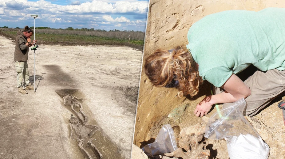 FOTO: Prelomový objav na Slovensku. Archeológovia našli pri Šuranoch niečo nevídané