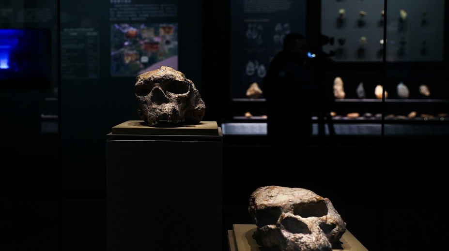 Milión rokov stará lebka prepisuje históriu evolúcie. Ľudia chodili po Zemi skôr, ako sme sa učili v škole