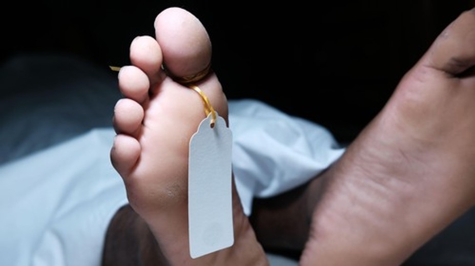 Svet čelí tichej kríze. Čoraz viac mladých zomiera bez toho, aby boli chorí