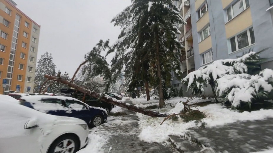 Sneh vyváľal stromy na sídliskách v Banskej Bystrici. Mesto ale plánuje rúbať dreviny v parku