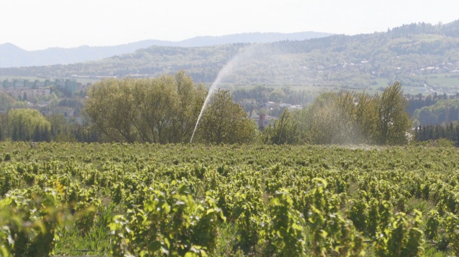 Dostali sme sa do unikátneho sadu. Plní jednu mimoriadne dôležitú úlohu