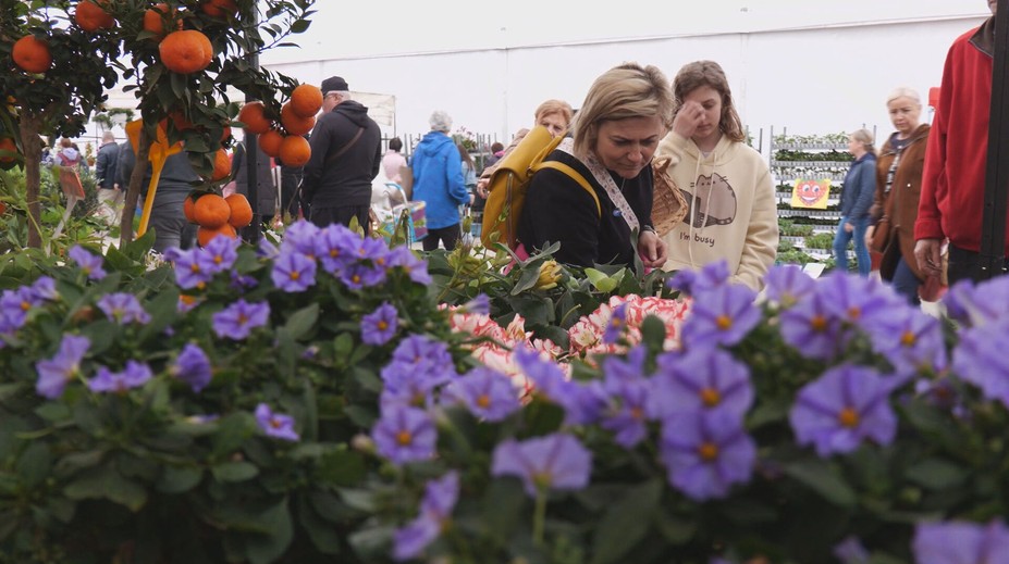 Záhradkári si to namierili do Trenčína. Koná sa tam najväčší veľtrh v histórii Slovenska