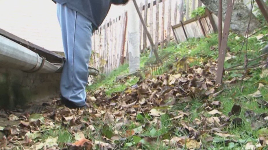 Nie každý má možnosť opadané lístie kompostovať. O tomto bezplatnom riešení mnohí ani netušia