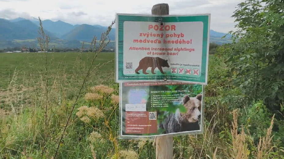 Pri Turanoch sa chystajú čistiť húštiny. Chcú sa tak zbaviť medveďov, ktorí tam hľadajú úkryt a potravu