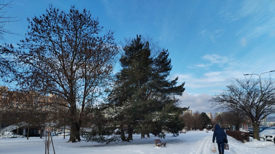 Počasie zaplnilo urgenty na východe. Odborníci radia, čo robiť pri pošmyknutí