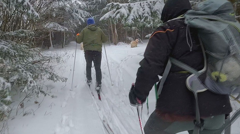 Bežkári majú dôvod na radosť, podmienky patria k najlepším za roky. Poradíme vám, ako začať