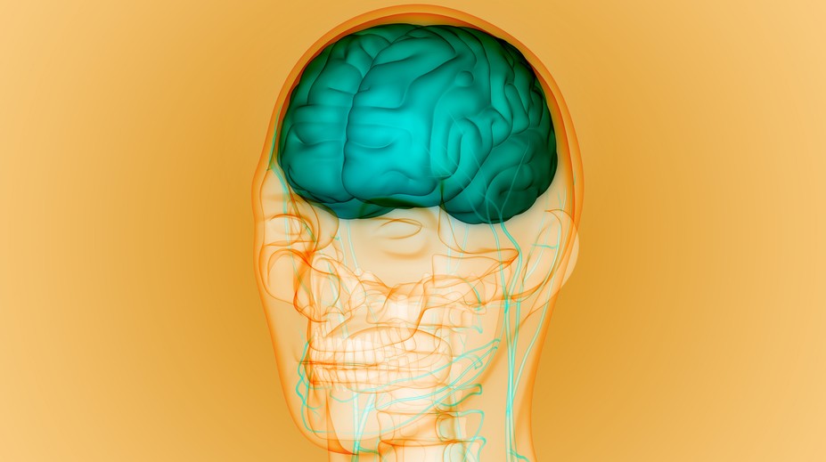 Ako súvisí Parkinsonova a Alzheimerova choroba s rodným jazykom? To zisťujú vedci