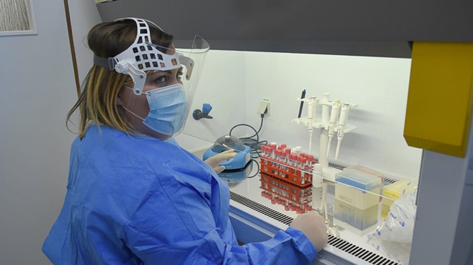 Vedci varujú pred novým kmeňom vírusu, ktorý spôsobuje krvácajúcu horúčku Chaparé