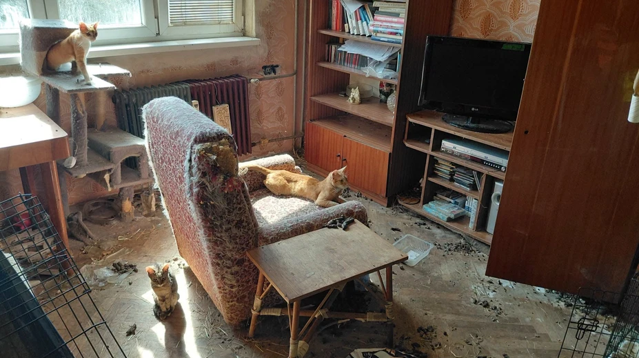 FOTO: Prázdne misky, zápach čpavku a 18 trpiacich zvierat. Z ich „domova“ sa stalo miesto utrpenia