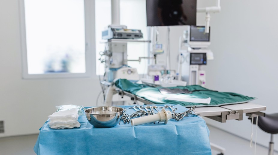 Recepčná si z veterinárnej kliniky odnášala bizarné trofeje. Mŕtvym psom odrezávala ňufáky