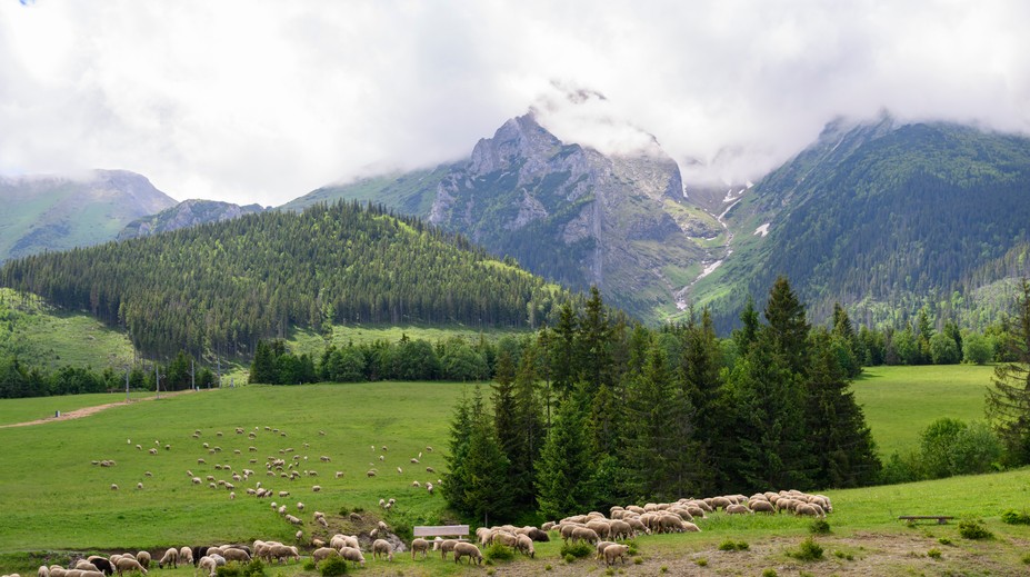 Horúčavy ešte nekončia. Zmena je v nedohľadne