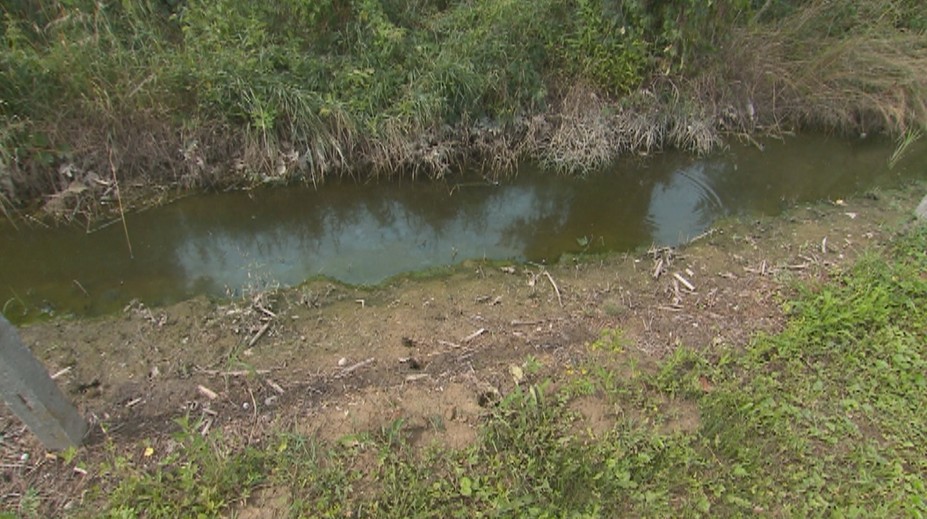 Počas dažďa prežívajú peklo, neznesiteľný smrad im strpčuje život už tri roky