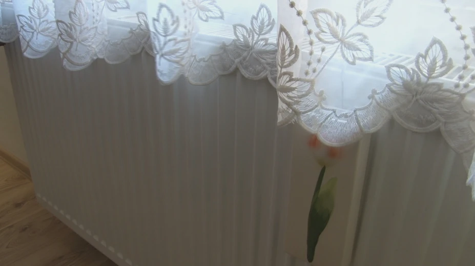 Už čoskoro viaceré domácnosti za plyn zaplatia viac. Tu zistíte, koho sa to týka