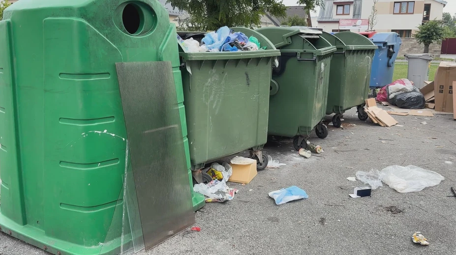 Potkany hodujú medzi odpadkami a niekedy sa pustia aj do áut. Mesto prichádza s riešením dlhoročného problému